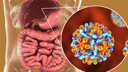 HEPATITUS-TREATMENT